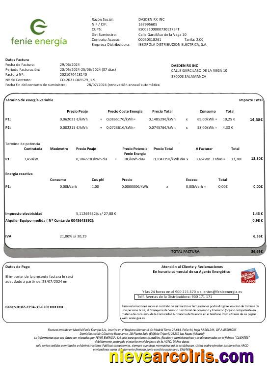 Spain Feníe Energía business utility bill